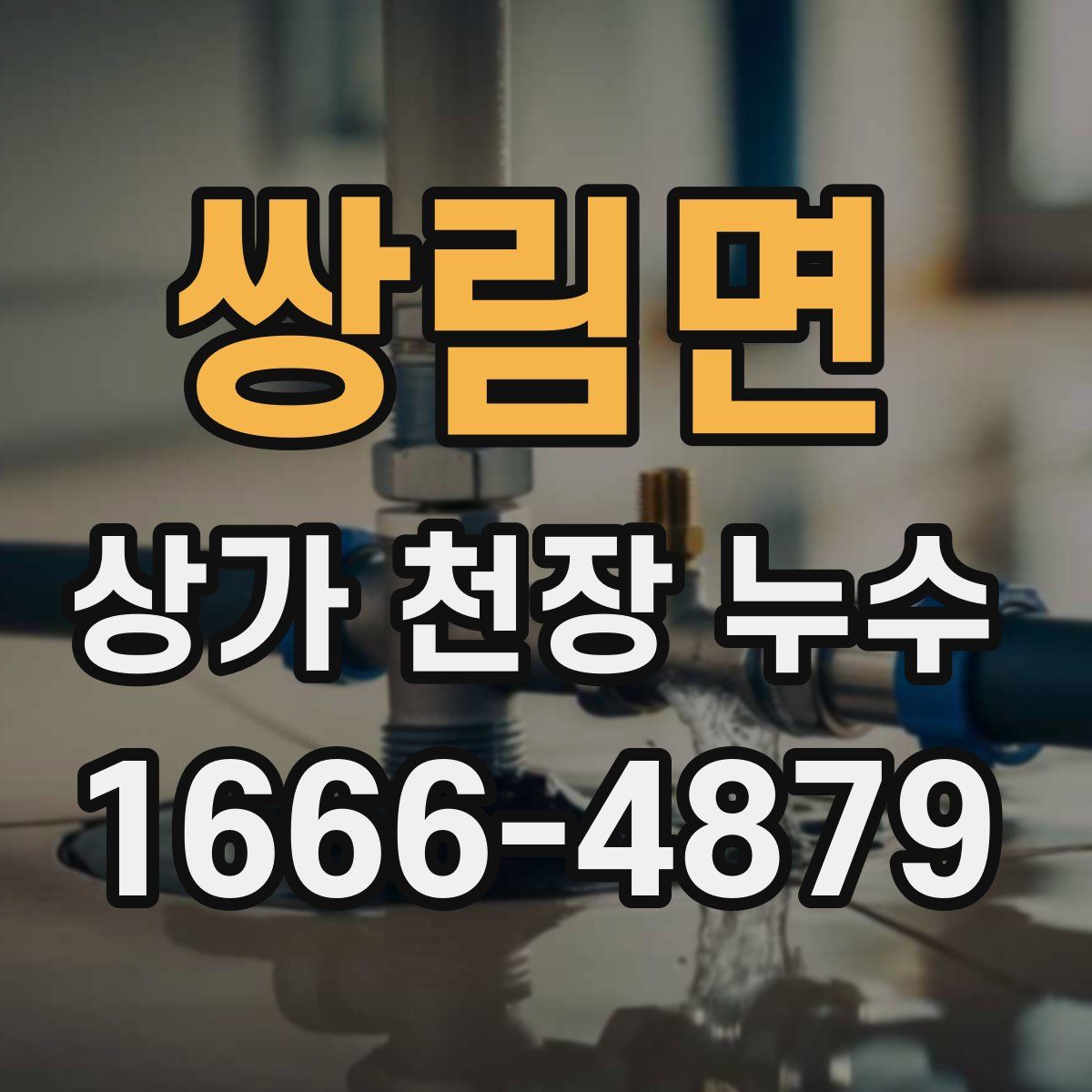 쌍림면 상가 천장 누수