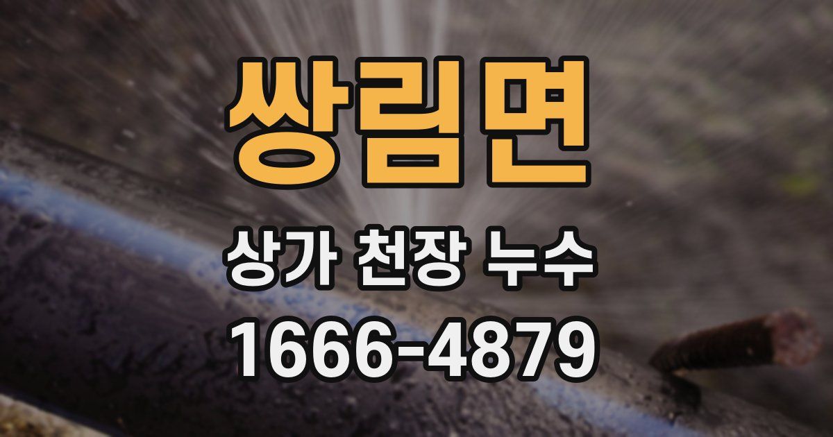 쌍림면 상가 천장 누수