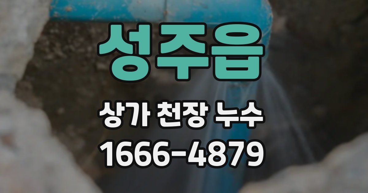 성주읍 상가 천장 누수