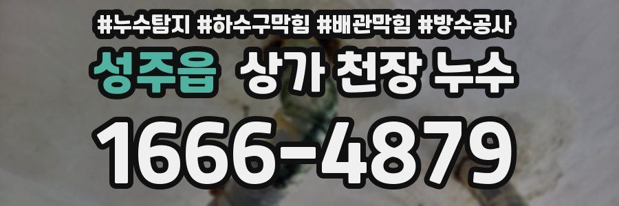 성주읍 상가 천장 누수