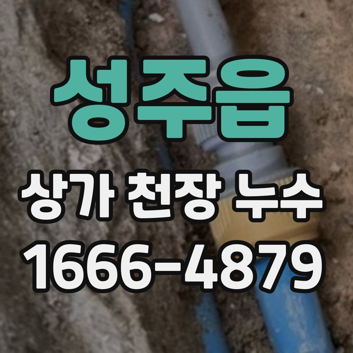 성주읍 상가 천장 누수