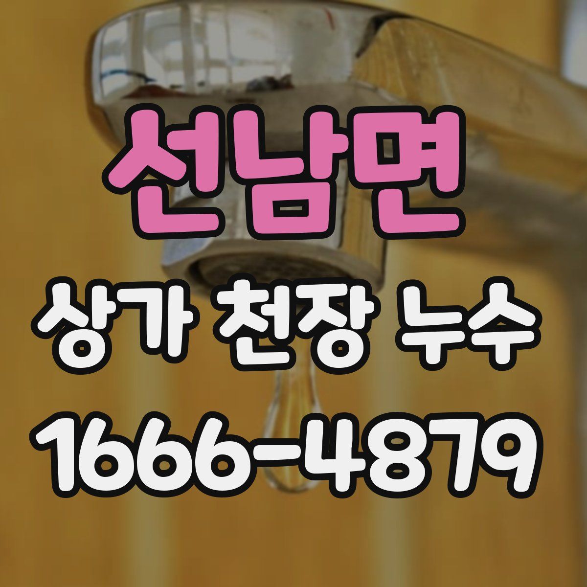선남면 상가 천장 누수