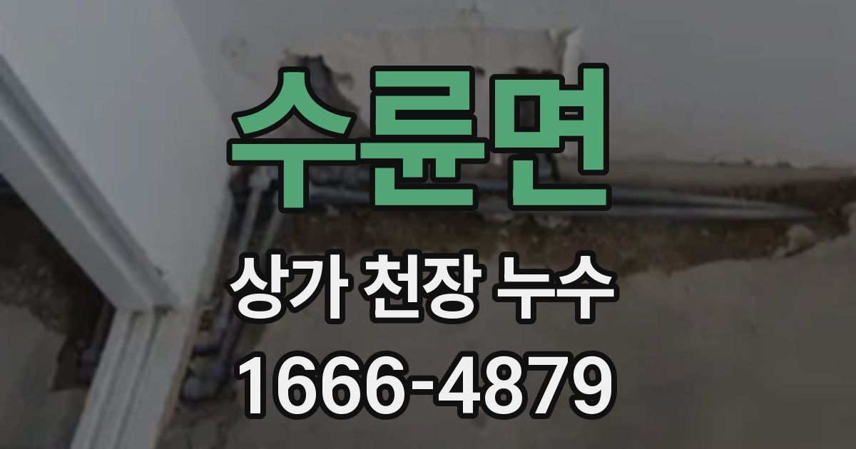 수륜면 상가 천장 누수