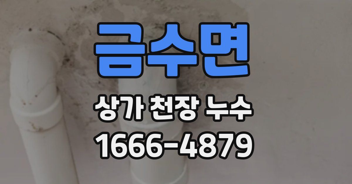 금수면 상가 천장 누수