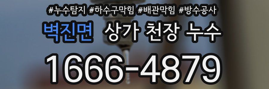 벽진면 상가 천장 누수