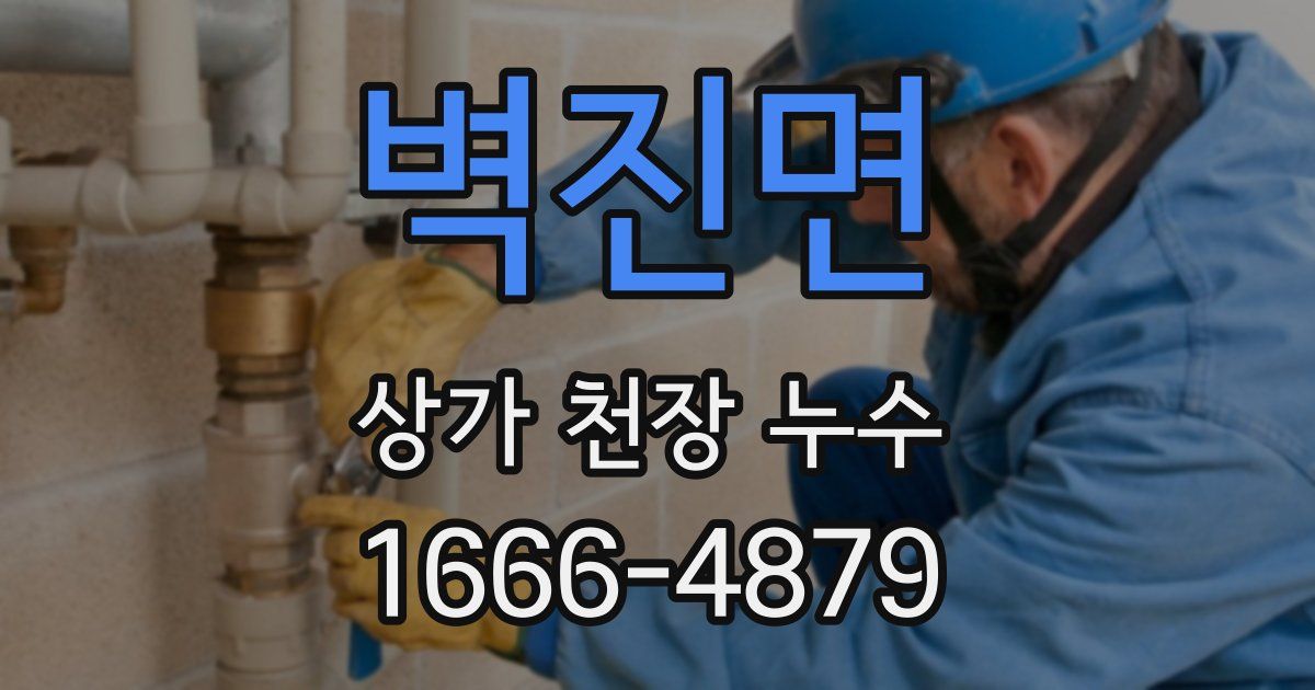 벽진면 상가 천장 누수