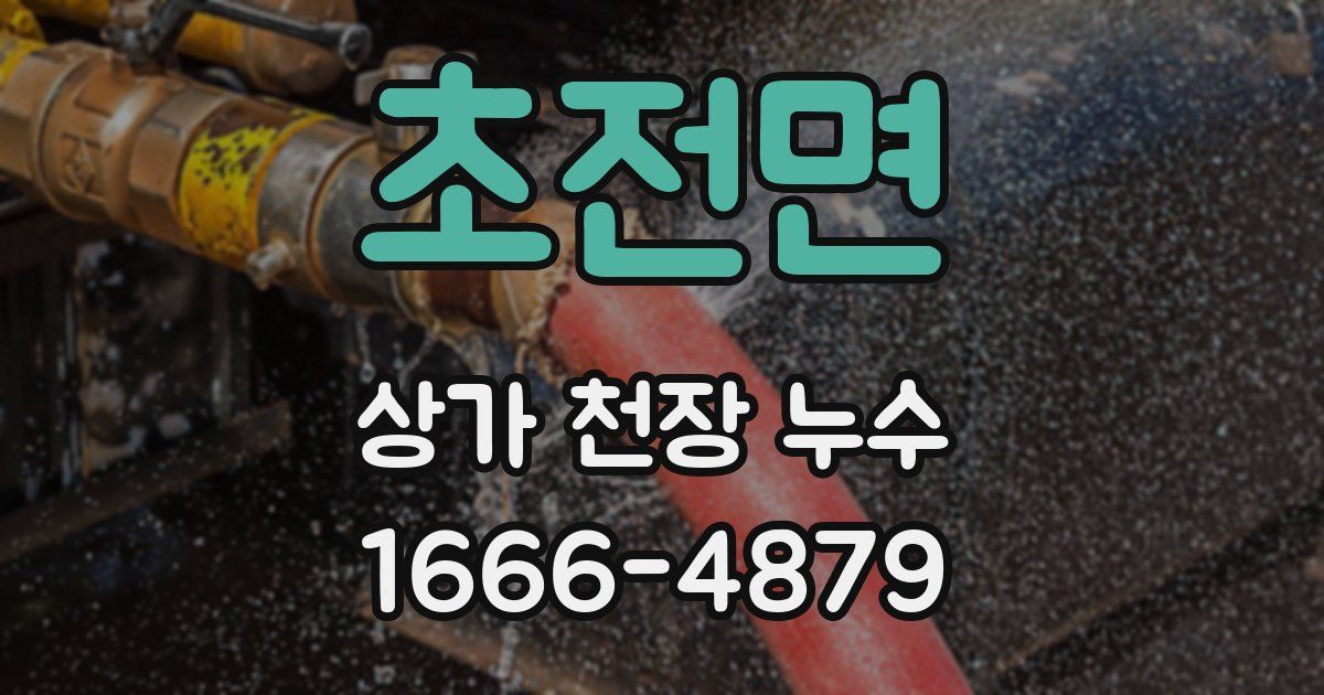 초전면 상가 천장 누수