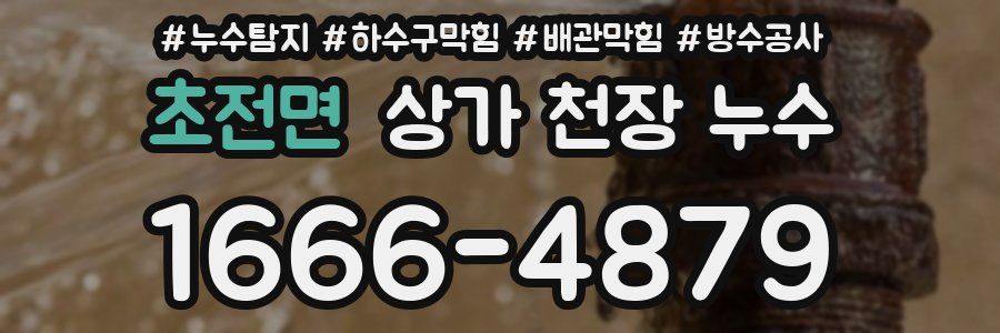초전면 상가 천장 누수