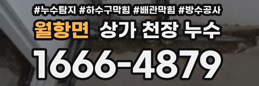 월항면 상가 천장 누수