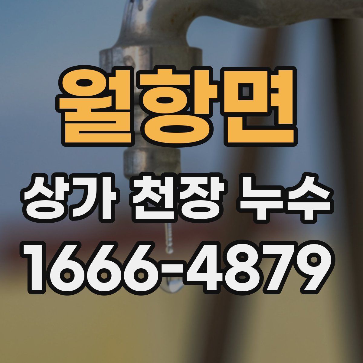 월항면 상가 천장 누수