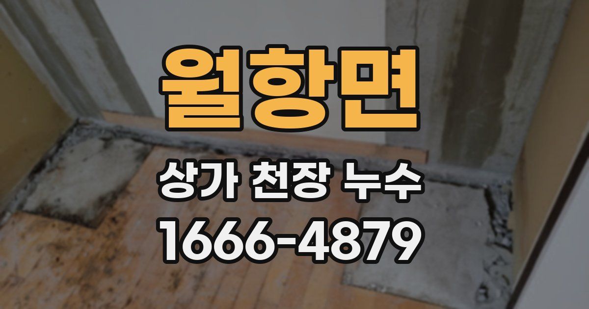 월항면 상가 천장 누수