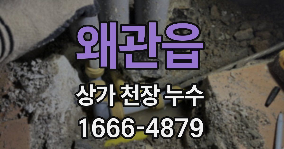 왜관읍 상가 천장 누수
