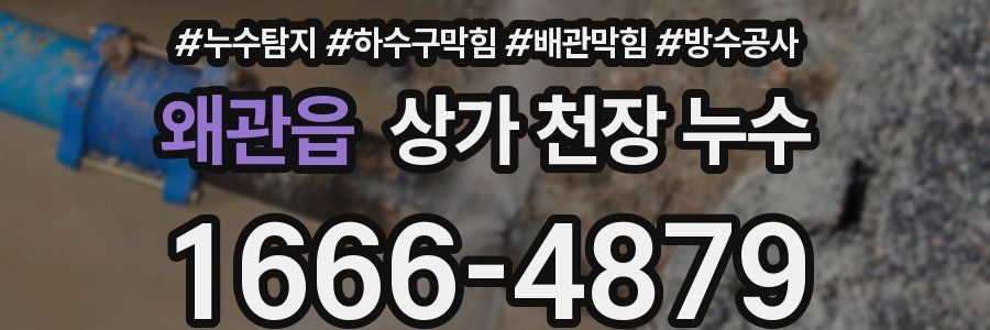 왜관읍 상가 천장 누수