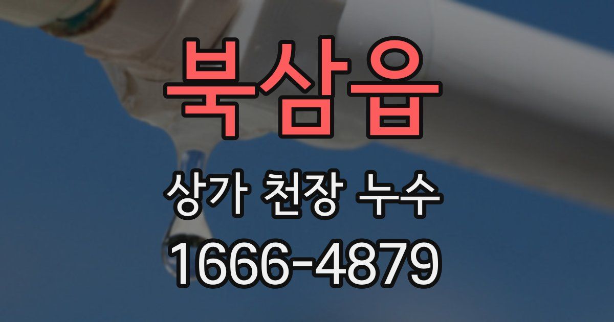 북삼읍 상가 천장 누수