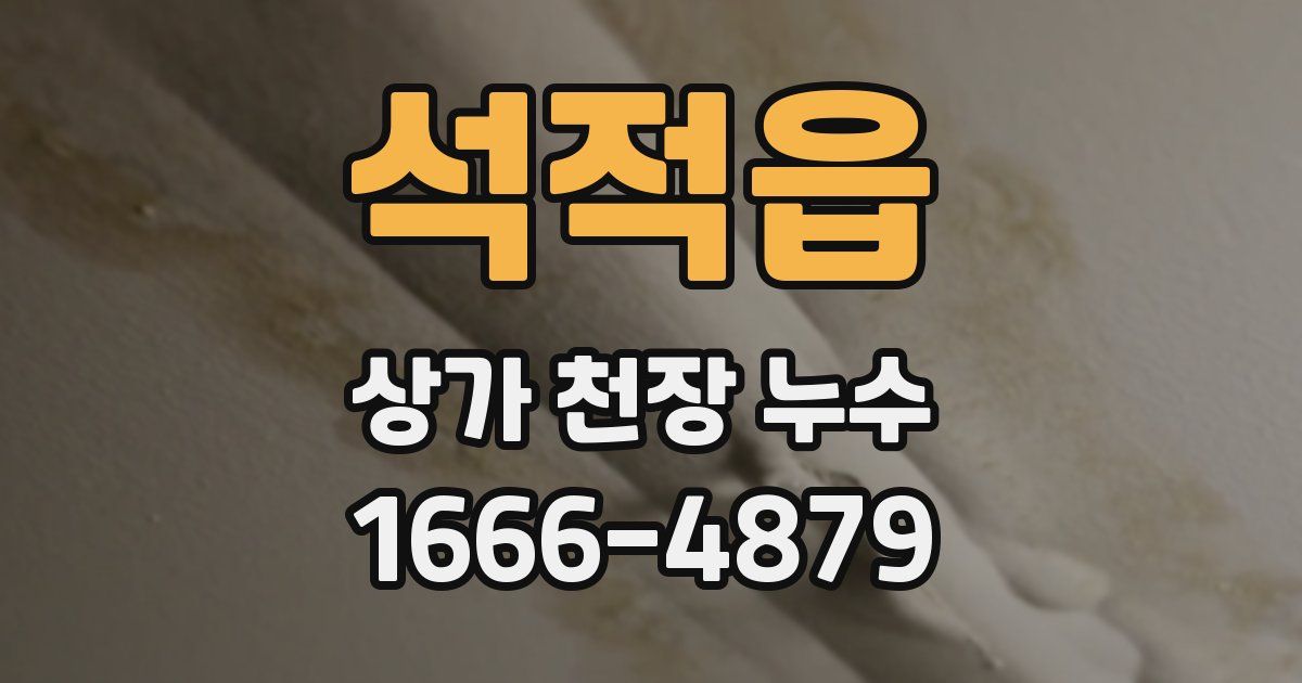 석적읍 상가 천장 누수