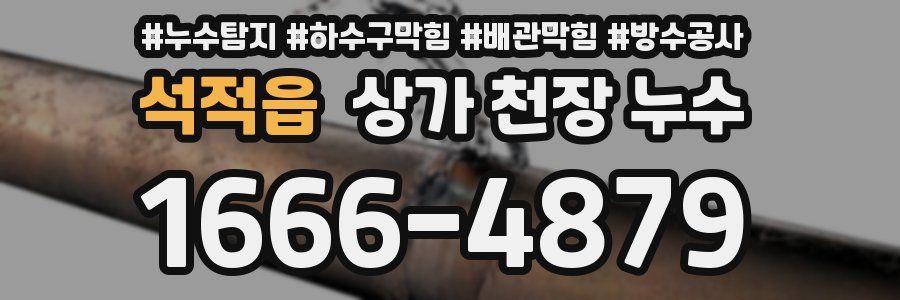 석적읍 상가 천장 누수