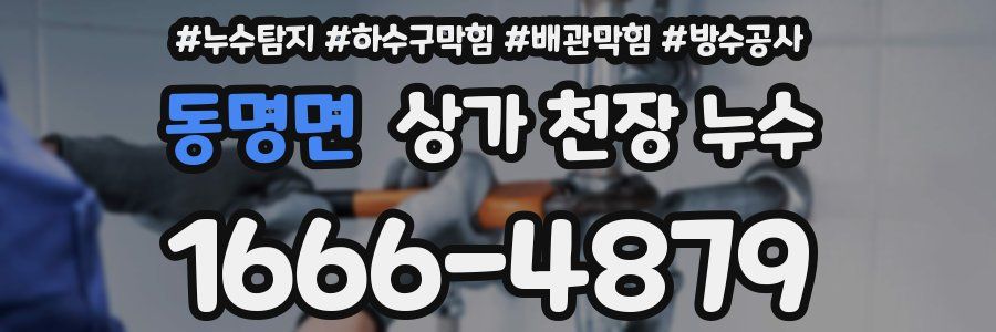 동명면 상가 천장 누수