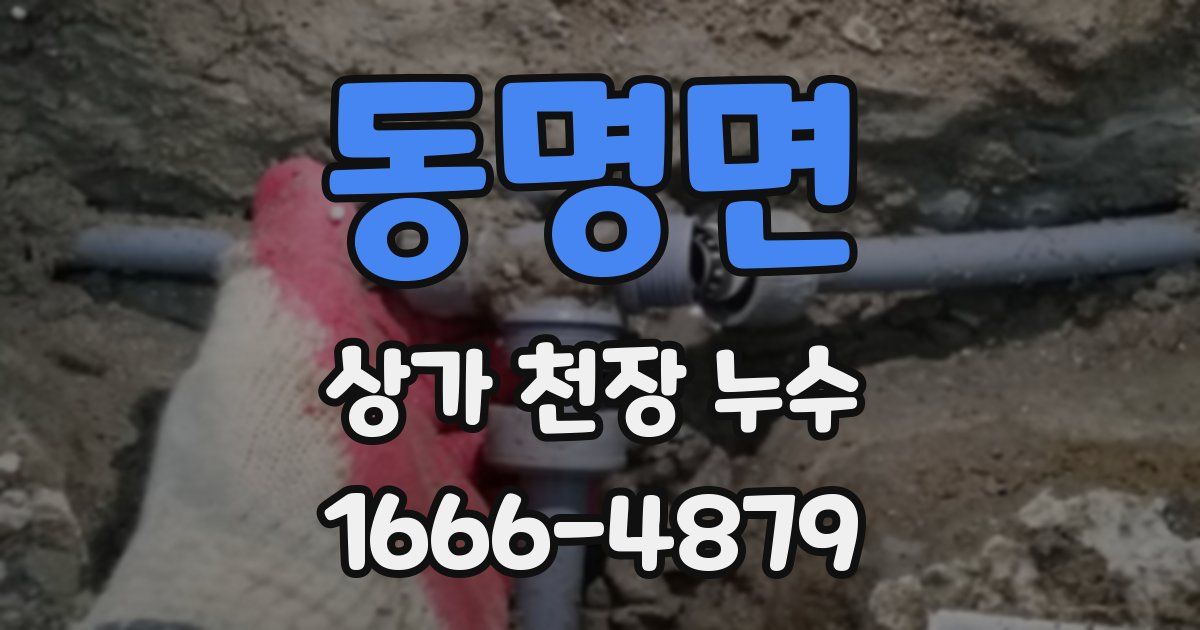 동명면 상가 천장 누수