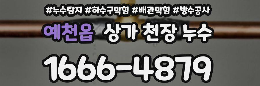 예천읍 상가 천장 누수