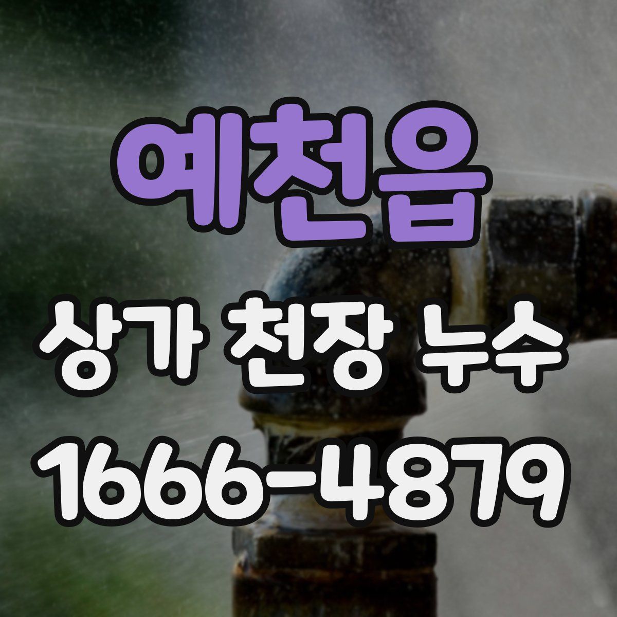 예천읍 상가 천장 누수