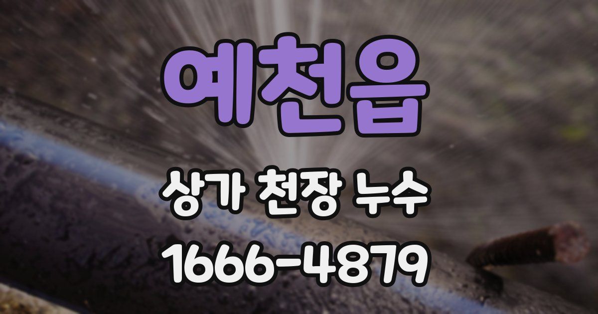예천읍 상가 천장 누수