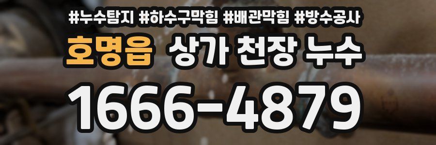 호명읍 상가 천장 누수