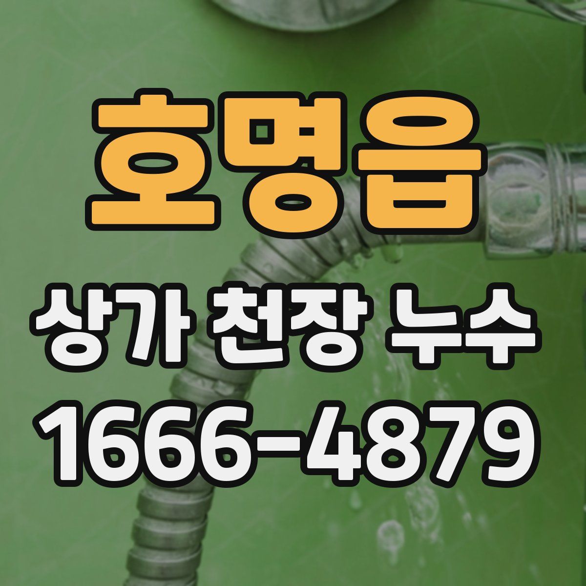 호명읍 상가 천장 누수