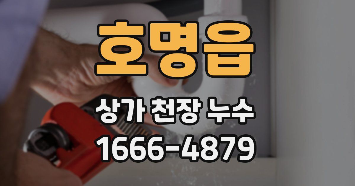 호명읍 상가 천장 누수