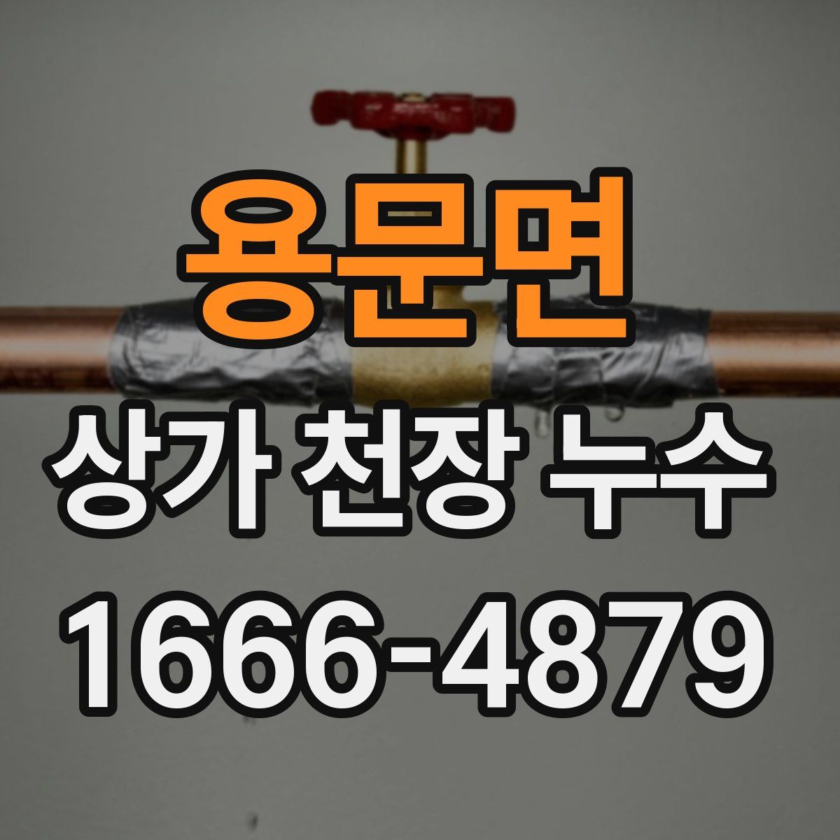 용문면 상가 천장 누수
