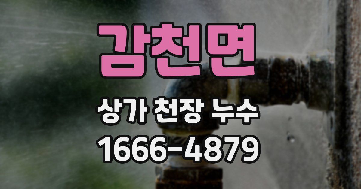 감천면 상가 천장 누수