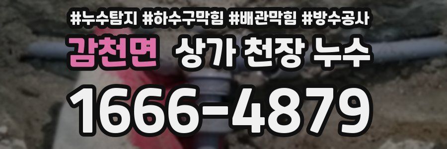 감천면 상가 천장 누수