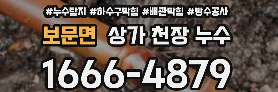 보문면 상가 천장 누수