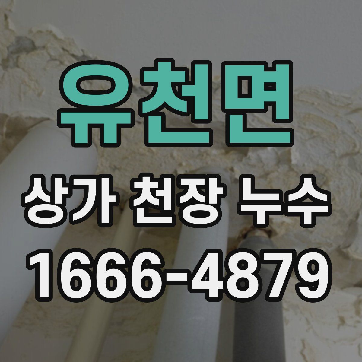 유천면 상가 천장 누수