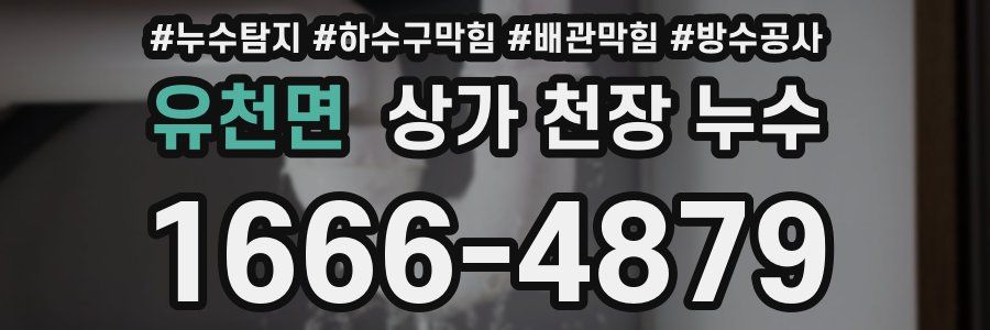 유천면 상가 천장 누수