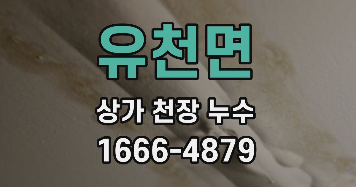 유천면 상가 천장 누수