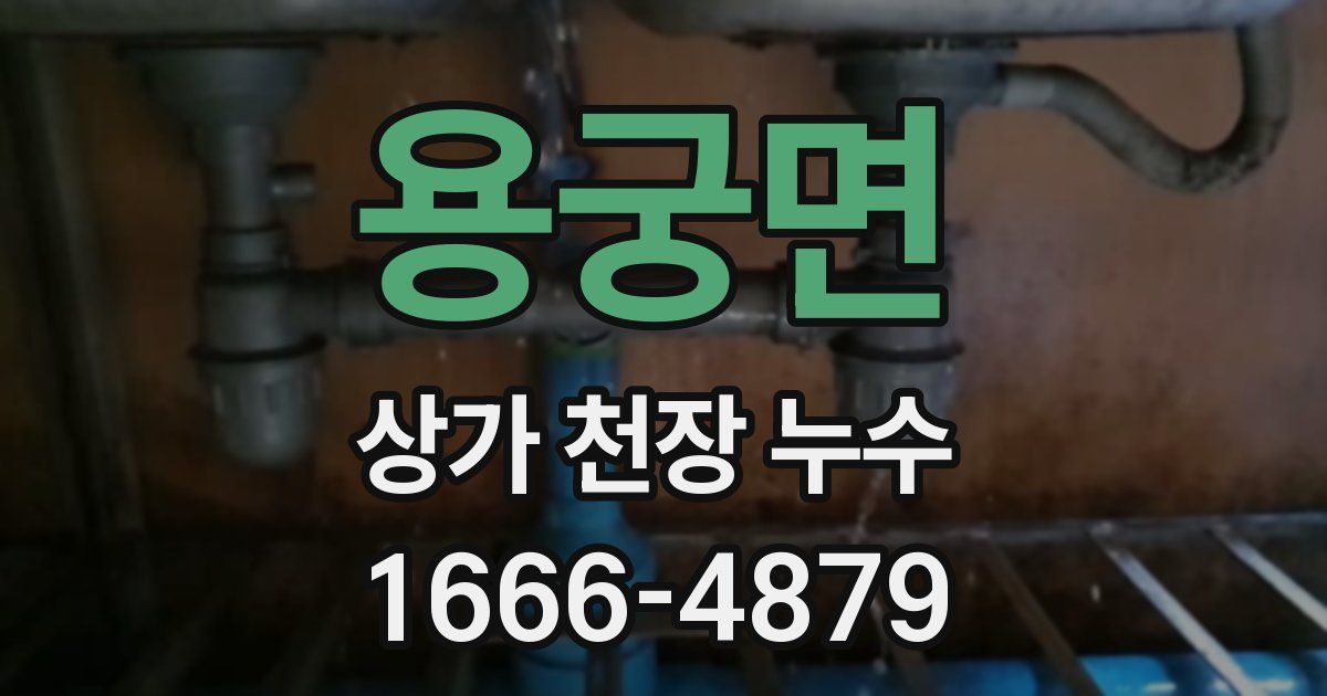 용궁면 상가 천장 누수
