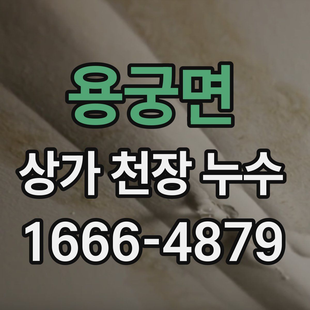 용궁면 상가 천장 누수
