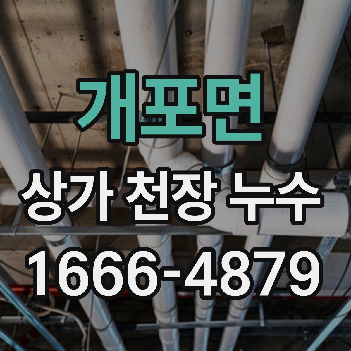 개포면 상가 천장 누수