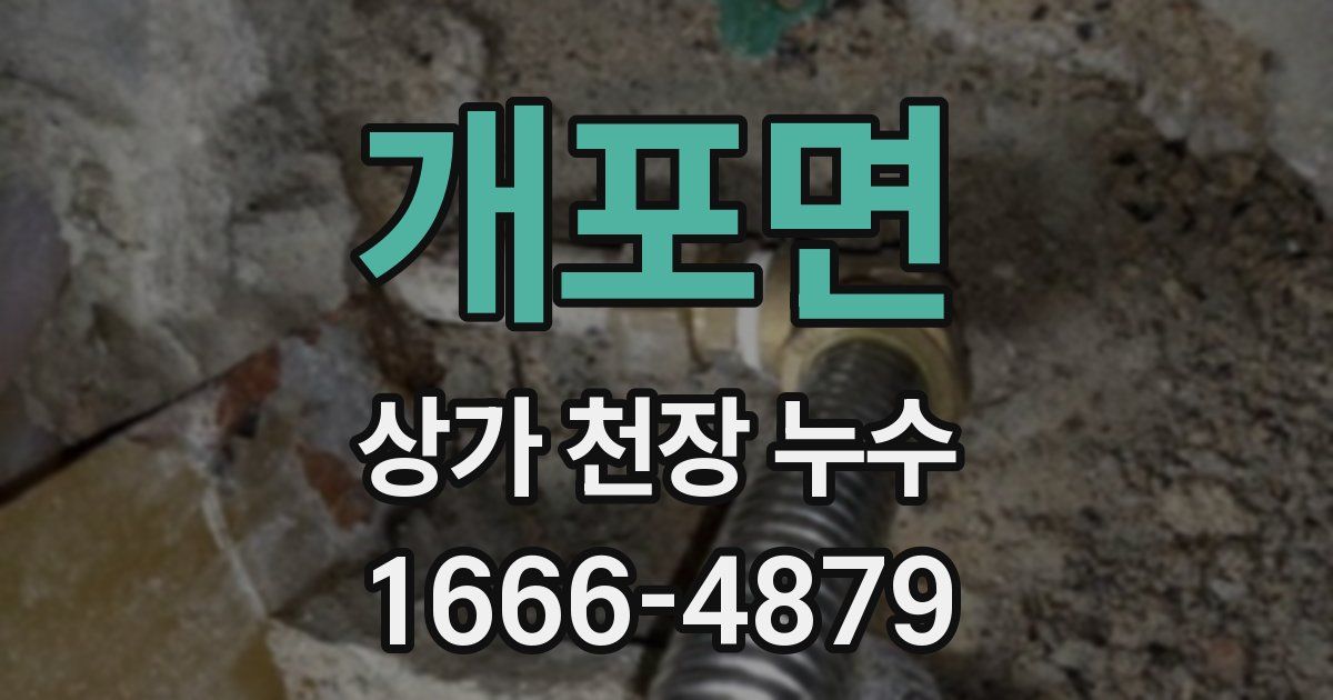 개포면 상가 천장 누수