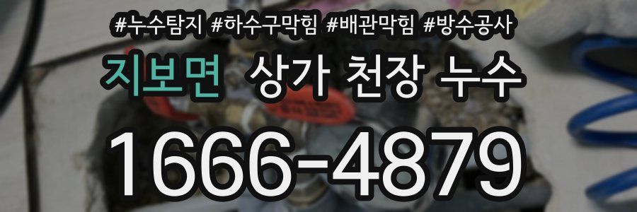 지보면 상가 천장 누수