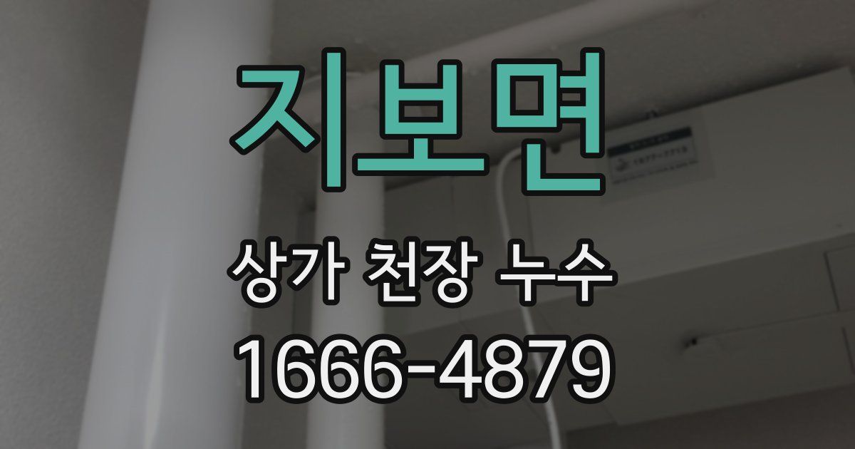 지보면 상가 천장 누수