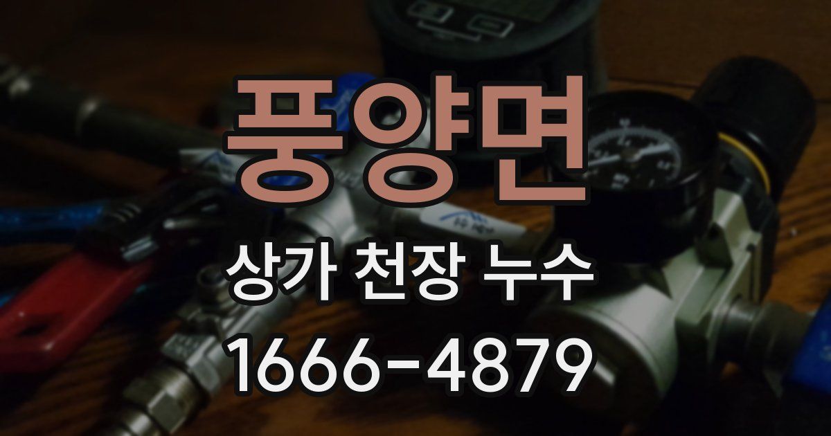 풍양면 상가 천장 누수