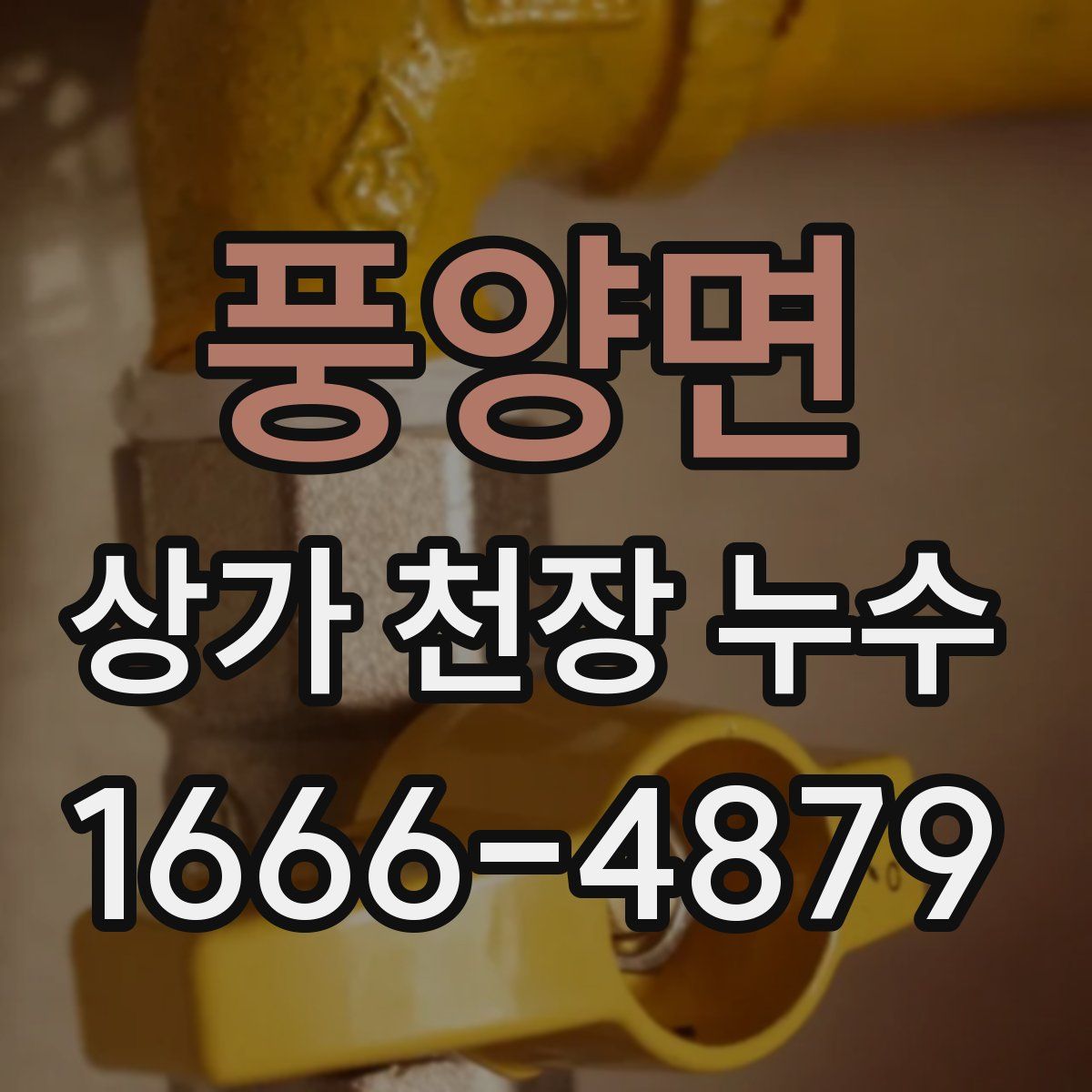 풍양면 상가 천장 누수