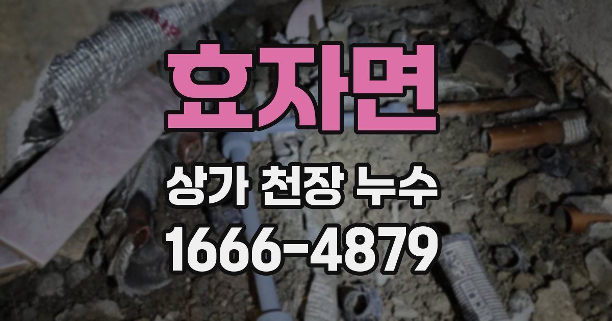 효자면 상가 천장 누수
