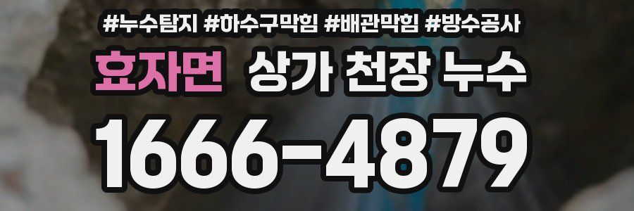 효자면 상가 천장 누수