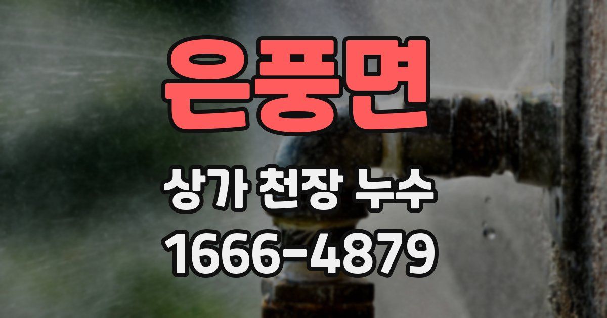 은풍면 상가 천장 누수