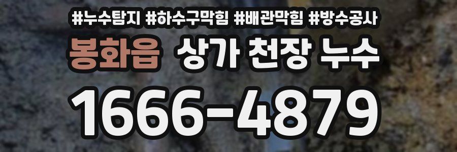 봉화읍 상가 천장 누수