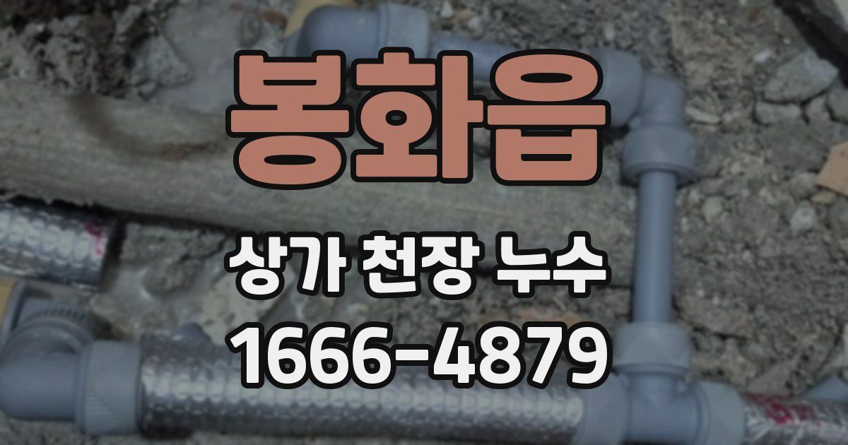 봉화읍 상가 천장 누수