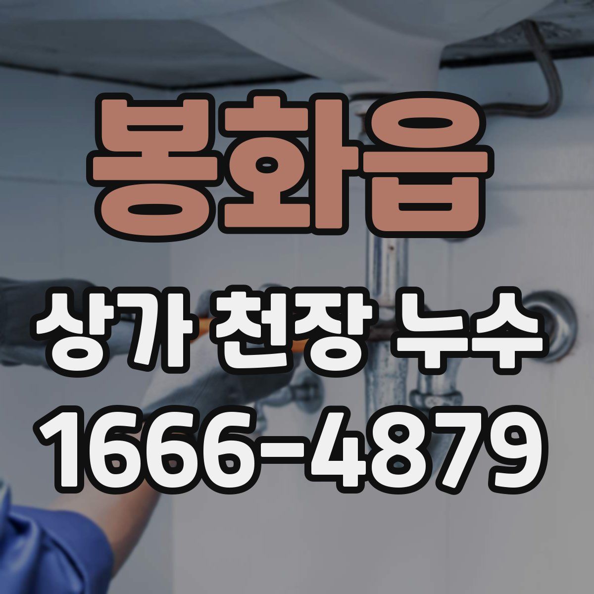 봉화읍 상가 천장 누수