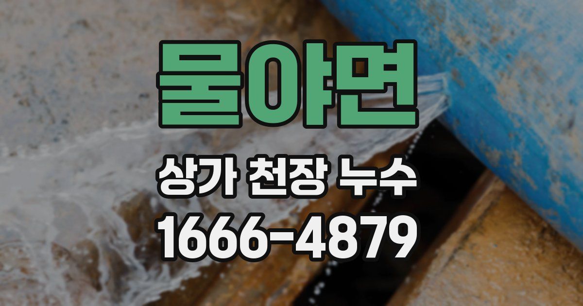 물야면 상가 천장 누수